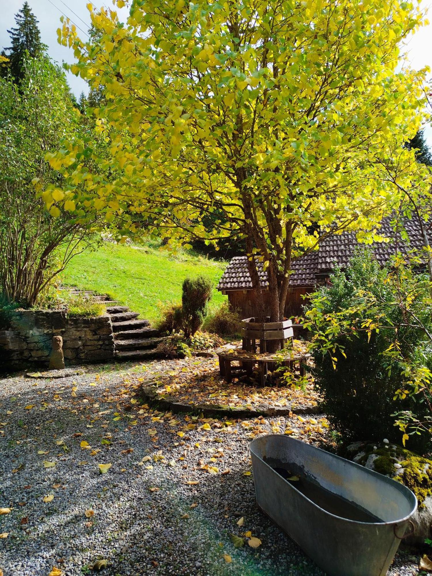 Sonnenhof Wengen - First Hotel Of Венген Экстерьер фото